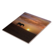 Carreau Beau Arabian Horse et Sunrise Art Carrelage (Côté)