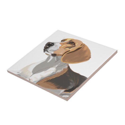 Carreau Beau Beagle (Côté)