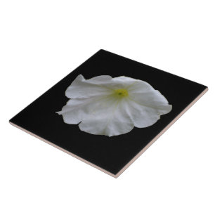 Carreau Beau Carrelage blanc Petunia