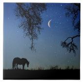 Carreau Beau cheval et lune (Devant)