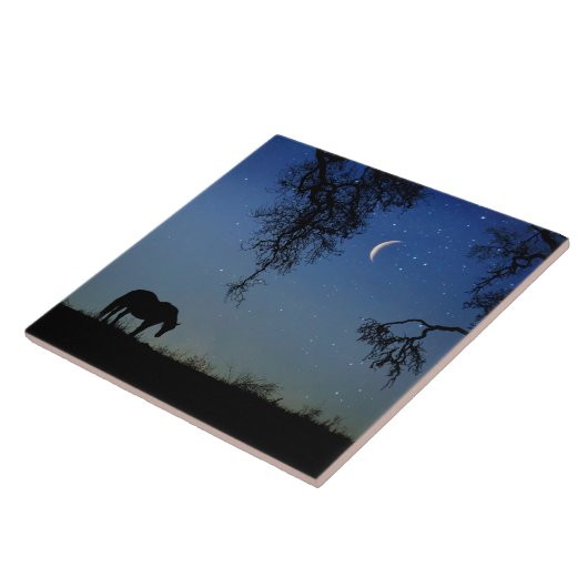 Carreau Beau cheval et lune (Côté)