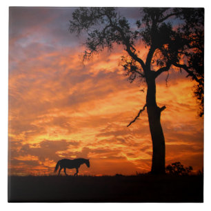 Carreau Beau Cheval et Sunset Art du Sud-Ouest