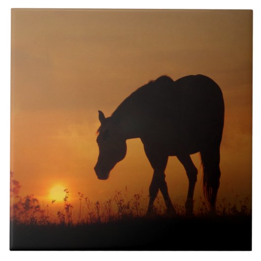 Carreau Beau Cheval et Sunset Sud-Ouest (Devant)
