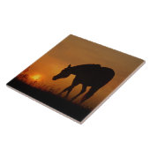 Carreau Beau Cheval et Sunset Sud-Ouest (Côté)