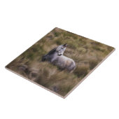 Carreau Beau Cheval gris coloré (Côté)