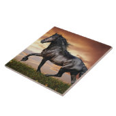 Carreau Beau Cheval Noir (Côté)