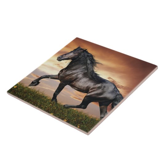 Carreau Beau Cheval Noir (Côté)