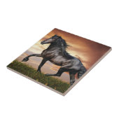 Carreau Beau Cheval Noir (Côté)