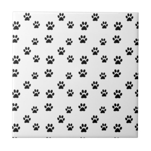 Carreau Beau empreinte de patte animal (Devant)