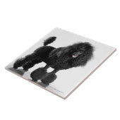 Carreau Beau, équilibré, noir, corps complet de caniche (Côté)