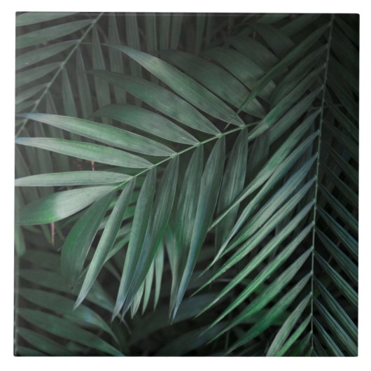 Carreau Beau et élégant carrelage en céramique Feuille tro (Devant)