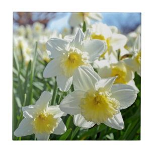 Carreau Beau jardin jaune et blanc de jonquilles