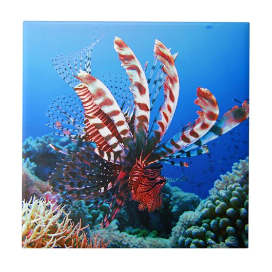 Carreau Beau Lionfish tropical (Devant)