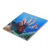 Carreau Beau Lionfish tropical (Côté)