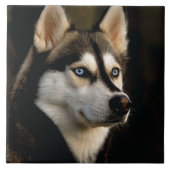 Carreau Beau Oreiller Husky Lrow (Devant)