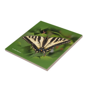 Carreau Beau papillon de l'Ouest de Tigre Swallowtail