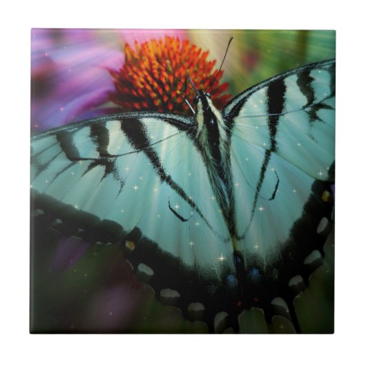Carreau Beau papillon Turquoise Swallowtail (Devant)