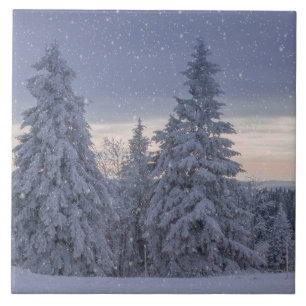 Carreau Beau paysage hivernal comme il neige