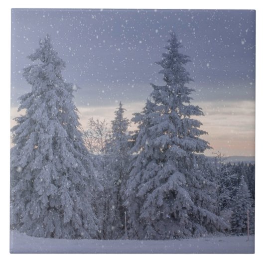 Carreau Beau paysage hivernal comme il neige (Devant)