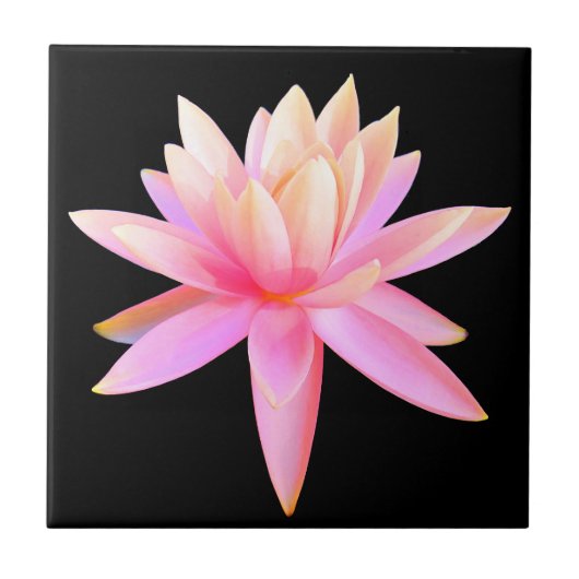 Carreau Beau Pink Lily Lotus Art (Devant)