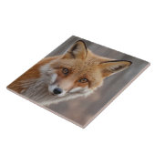 Carreau Beau portrait de Renard Rouge en nature (Côté)