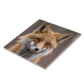 Carreau Beau portrait de Renard Rouge en Wilderness 4a (Côté)