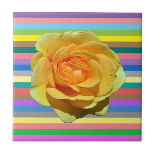 Carreau Beau rose arc-en-ciel (Devant)