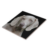 Carreau Beau Weimaraner chasseur de chiens (Côté)