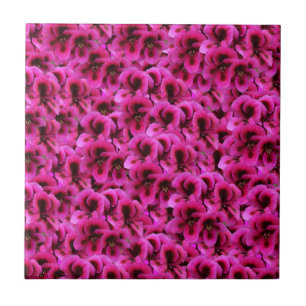 Carreau "Beauté audacieuse : Fleurs de géranium magenta se