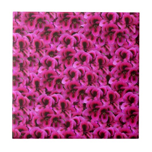 Carreau "Beauté audacieuse : Fleurs de géranium magenta se (Devant)