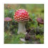 Carreau Beauté d'automne (Devant)