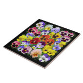 Carreau Beauté de Pansy (Côté)