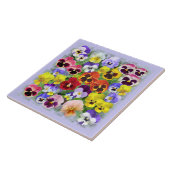 Carreau Beauté de Pansy (Côté)