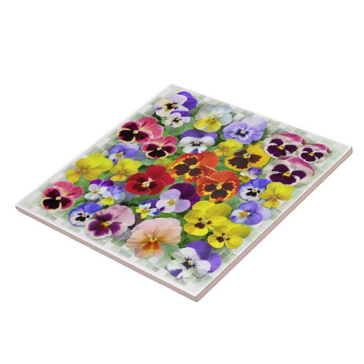 Carreau Beauté de Pansy (Côté)