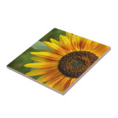 Carreau Beauté des tournesols (Côté)