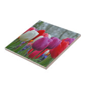 Carreau Beauté des tulipes colorées (Côté)