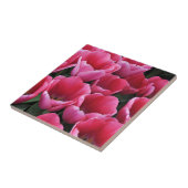 Carreau Beauté des tulipes roses (Côté)
