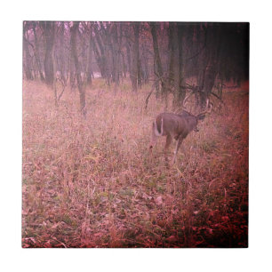 Carreau Beautiful Buck amélioré