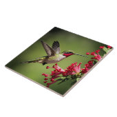 Carreau Beautifull Hummingbird (Côté)