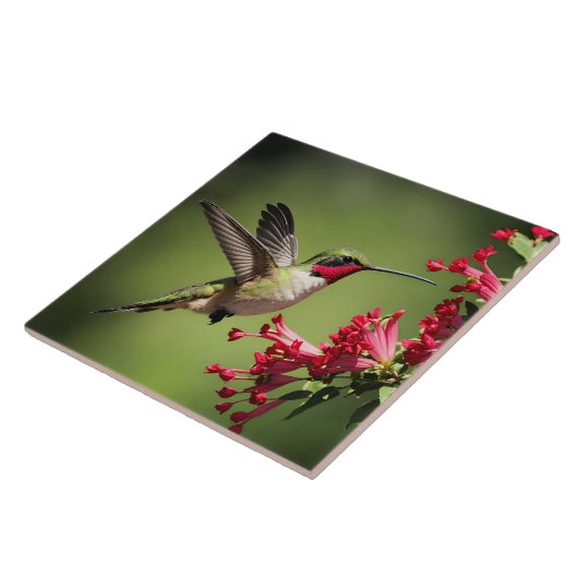 Carreau Beautifull Hummingbird (Côté)