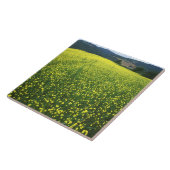 Carreau Beaux champs de fleurs jaunes de San (Côté)