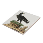 Carreau Beaux Oiseaux d'aigle Peinture Vintage (Côté)
