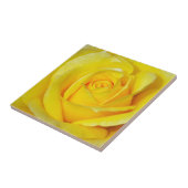 Carreau Beaux pétales de rose jaunes (Côté)