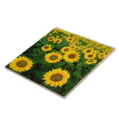 Carreau Beaux tournesols (Côté)