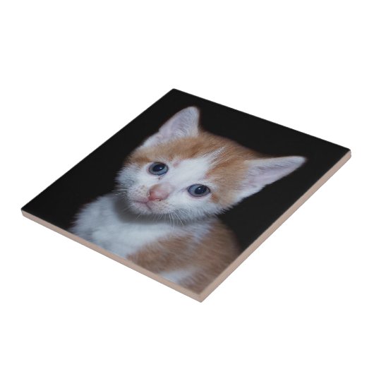 Carreau Bébé chaton orange et blanc (Côté)