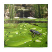 Carreau Bébé crapaud dans l'étang (Devant)