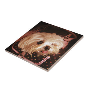 Carreau Bébé dans un sac Maltais Puppy Tile