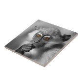 Carreau Bébé Mangabey (Côté)