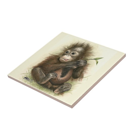 Carreau Bébé Orangoutan avec Feuilles (Côté)