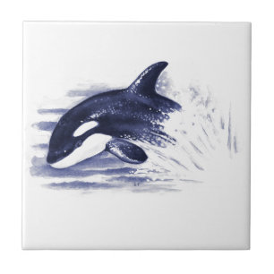 Carreau Bébé Orca Jump